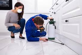 Real Estate Pest Inspections in Coraopolis, PA